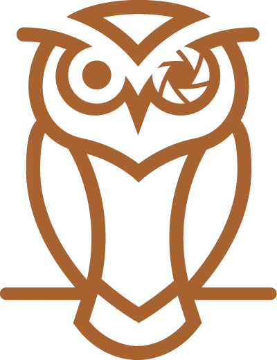 Owl logo graphic